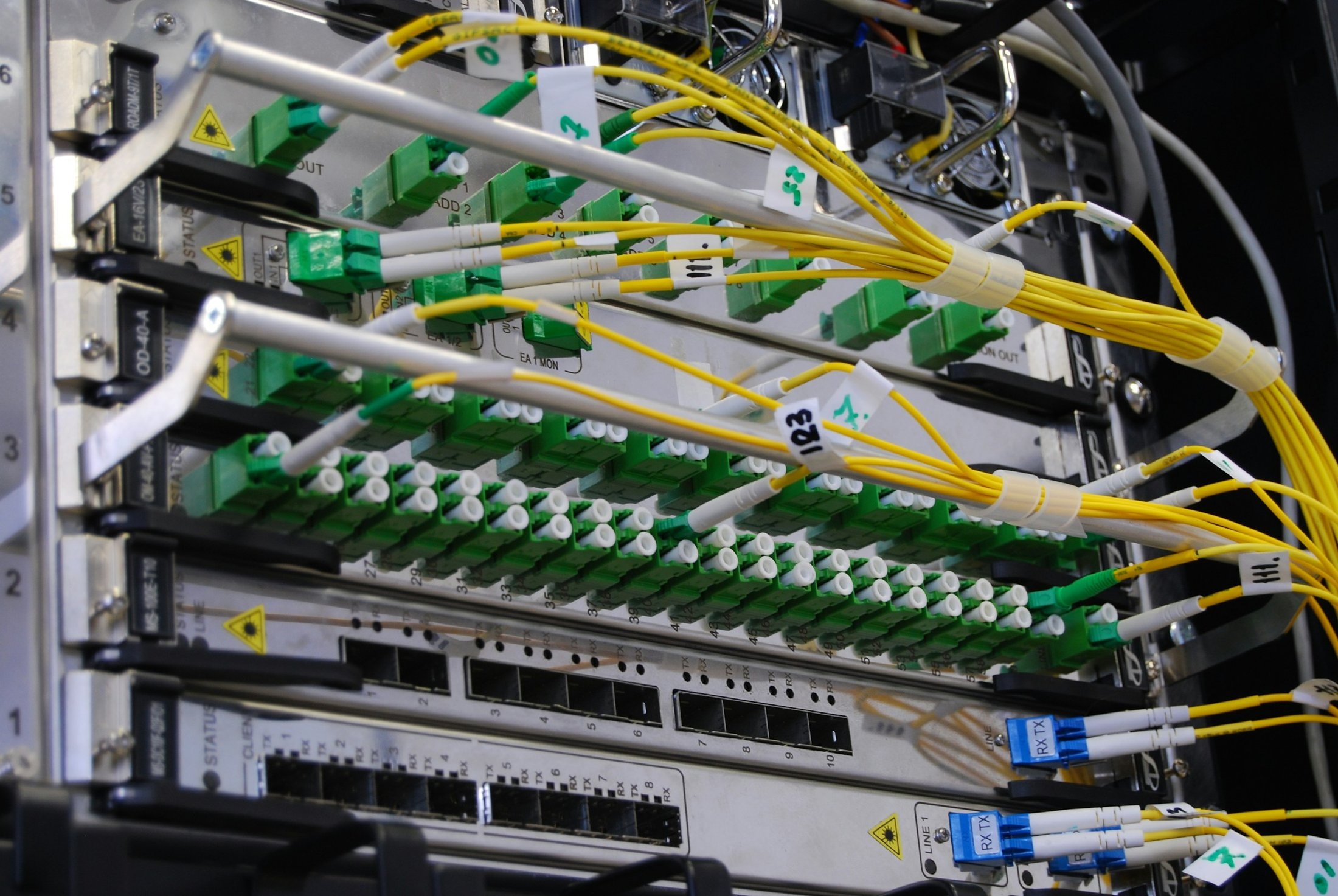 Fibre-optic patch leads plugged into a network switch in a rack